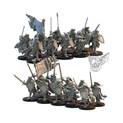 Reiksguard Knight / Knights Errant / FreeGuild Cavaliers